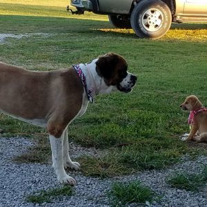 Meet your Posher, Lynn